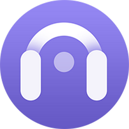 AudiCable Music One