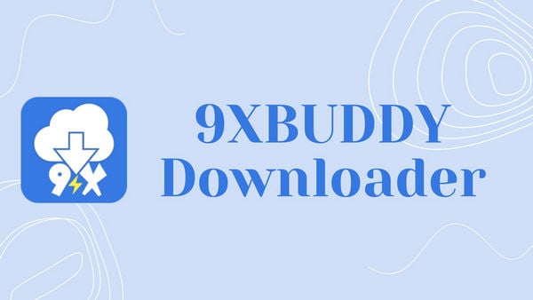 9xbuddy Downloader