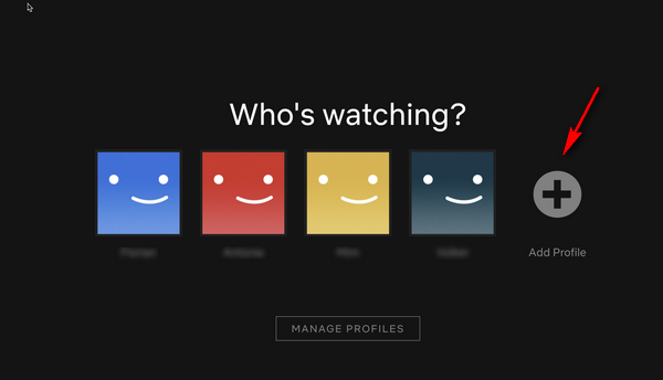 add a netflix profile