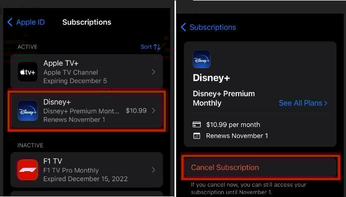 cancel disney plus on iphone