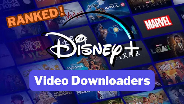 Best Disney Plus Downloaders Review