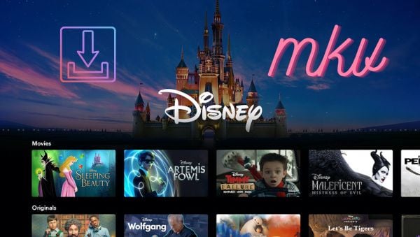 download disney+ video in mkv format