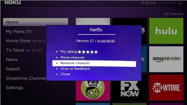 remove Netflix on roku