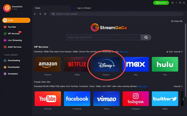 StreamGaGa Disney Plus Downloader