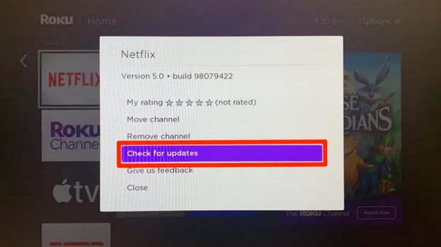 update Netflix