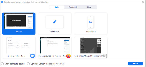 Zoom Screen Share